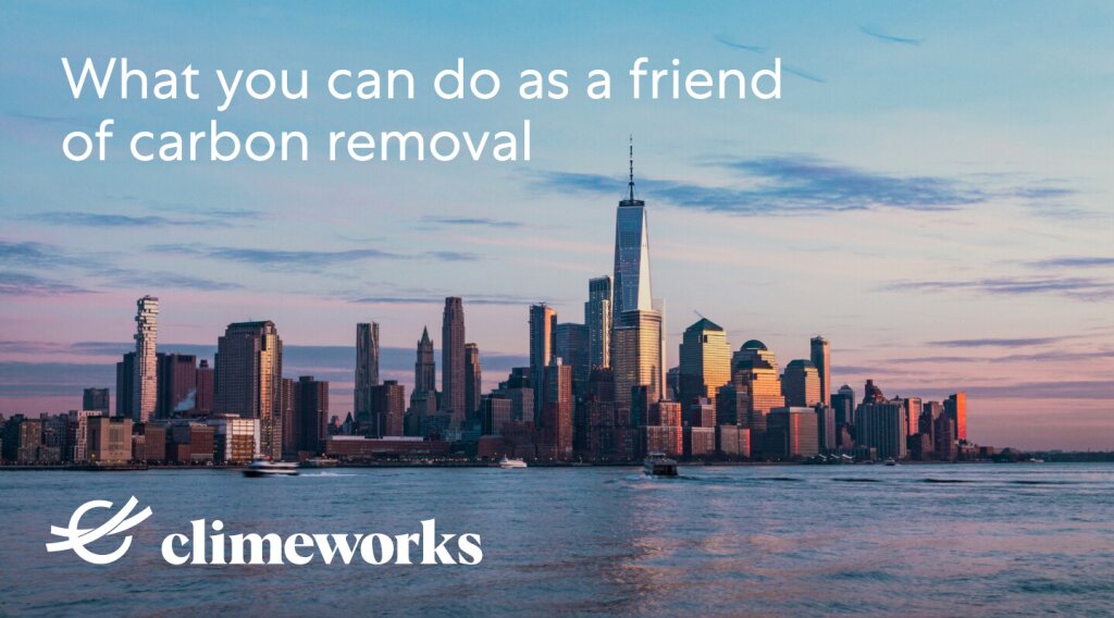 Friends of carbon removal: you can act for Climate Week NYC 2024